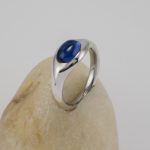 Ring 7145